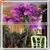 ST20160603 Landscaping Trees Large Outdoor Bonsai Trees Decoration Wedding Artificial Ginkgo Tree thumbnail-1