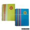 Notebook thumbnail-1