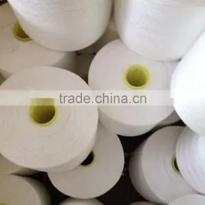 Welljoy Produce 100% Polyester Raw White Thread With High Strength and Low Shrinkage thumbnail-4