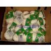 Jinxiang Fresh Garlic thumbnail-1