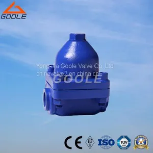 Bimetallic Steam Trap thumbnail-1