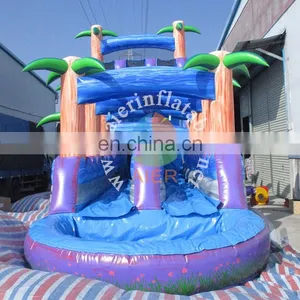 Aier Giant Inflatable Water Slide, Large 2 Lanes Inflatable Water Slide thumbnail-6