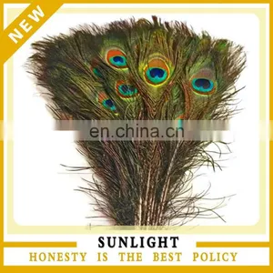 China Supplier Wholesale Cheap Peacock Feather thumbnail-1