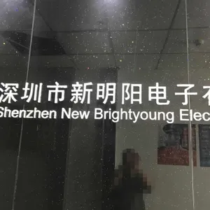 Shenzhen New Brightyoung Electronics Co.,Ltd company overview - view 1 thumbnail