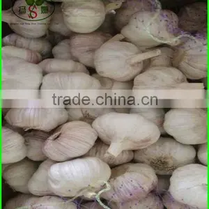 (HOT) GARLIC/FRESH GARLIC Size: 5.5 CM or More thumbnail-3
