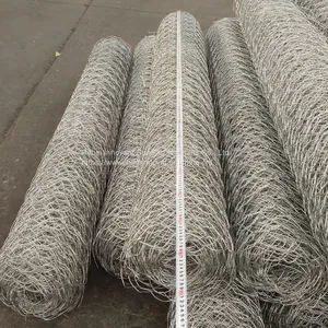 Galvanized Hexagonal Wire Netting Chicken Wire Mesh thumbnail-2