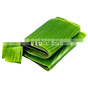 BEST Price Natural LEAF Banana Leaves/Fresh Banana Leaf thumbnail-1