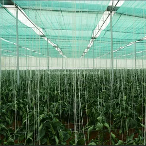Hot Sale Sun Shade Net/Mesh Concealment for Agriculture thumbnail-2