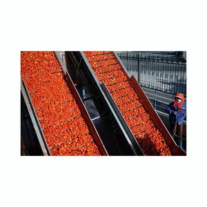 Shanghai Factory Tomato Pulp Making Machine/ketchup Making Machine thumbnail-6