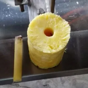 Automatic Pineapple Jackfruit Peeler Peeling Coring Slicing Cutting Processing Separating Machine thumbnail-2