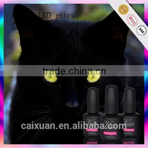 3D UV Gel Polish LED Cat Eye Color Healthy and Ecofriendly Gel for Nail Art thumbnail-3