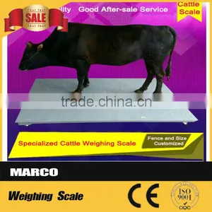Electronic Used Livestock Scale Poultry Farm thumbnail-6