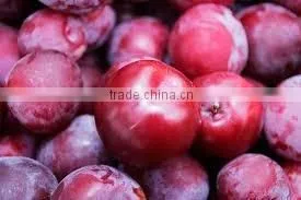 Compote Plumps in Syrup 540 ml Jars thumbnail-1
