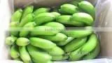 Carvendish Bananas thumbnail-1
