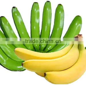 Cavandish Banana thumbnail-1