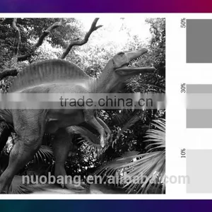Efficient Gravure Printing Proofer Rotogravure Proofer thumbnail-5