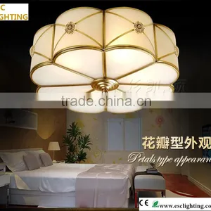 Ceiling Lighting Home Design Ideas New Ideas Overhead thumbnail-1