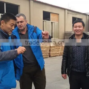 Timber Wood For Construction Building Material thumbnail-6