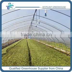 Greenhouse Spray Irrigation System for Vegetables Quality Choice thumbnail-1