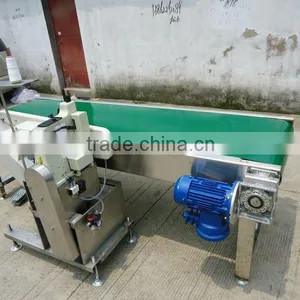 Stainless Steel Belt Conveyor thumbnail-1