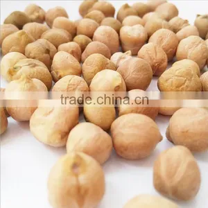 More Than 8 mm Fresh Chickpeas Xinjiang Chickpea Pois Chiche thumbnail-1
