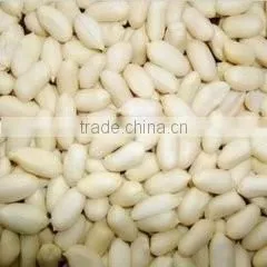 China Blanched Peanut Kernels in Long Shape Best Price thumbnail-2