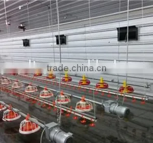 Professional Broiler Chicken House Building thumbnail-1