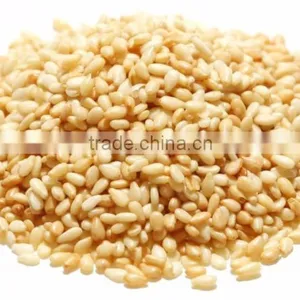 Hulled White Sesame Seed thumbnail-1