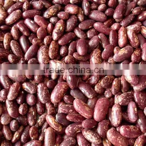 20015 New Crop British Type Dark Red Kidney Beans thumbnail-2