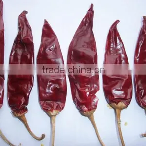 American Red Chilli New Crop Export Hot With or Without Stem thumbnail-2
