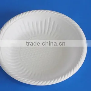 Biodegradable Plate thumbnail-1
