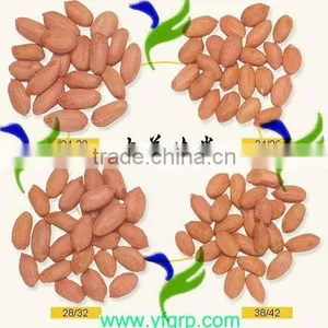 New Peanuts Importers in Uae thumbnail-1
