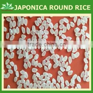 JAPONICA RICE-GRADE A " BEST PRICE- BEST QUALITY-BEST CHOICE" - Sales4@ Vinarice.vn - +84 918205076 thumbnail-1