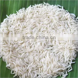 Rice thumbnail-1