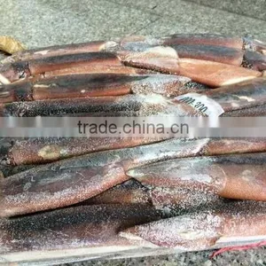 Frozen Squid Whole Argentina Illex thumbnail-4