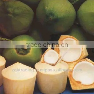 Green Young Coconut thumbnail-2