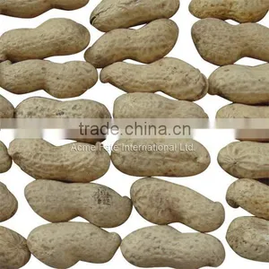 Chinese Peanut Kernels With Shell thumbnail-6