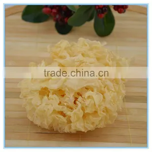 Dried White Wood Ear Fungus thumbnail-1