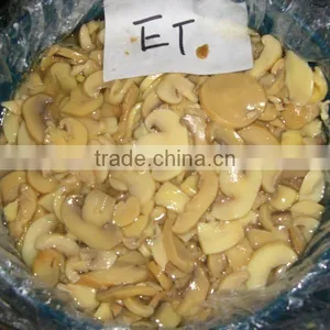 Medicine Mushroom in Drum thumbnail-1