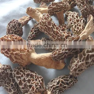 Dry Morchella Conica Toadstool Morel Market Price thumbnail-1