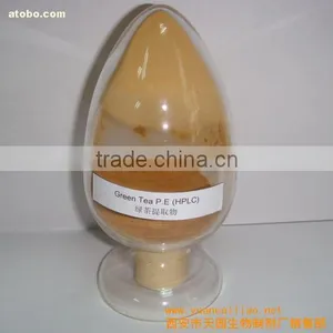 Good Flavour Green Tea Extract With Tea Polyphenols 40%-98% and EGCG thumbnail-1