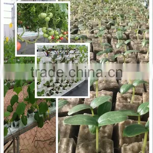 Tower Garden / Planting Seeds / Aquarium Plants Rockwool for Tomatoes / Lettuce / Fireplace thumbnail-1