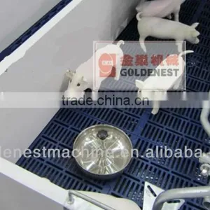 *Corrosion Resistant Poultry Slats Flooring Equipment Farm Products thumbnail-3