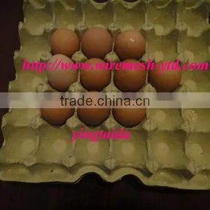 Hatching Eggs Plastic Egg Tray thumbnail-1