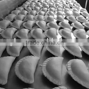 Electric Stainless Steel Ravioli/ Pierogi Maker Machine/ Empanada Maker Machine thumbnail-2