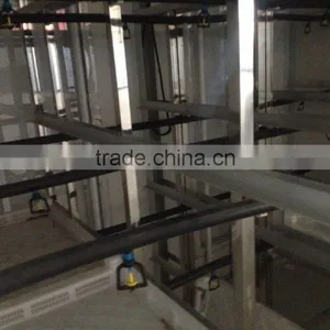 Automatic Bean Bud Seeding Machine With High Quality Best Price thumbnail-2