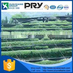 HDPE Outdoor Garden Green Sun Shade Net / Netting / Cloth , HDPE Plastic Agricultural Green Sun Shade Net thumbnail-5
