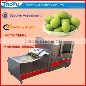 Olive Core Separating/ Separator/Remover/ Seed Extracting Machine/ Separator/ Separating Machine(SMS: 0086-15903675071) thumbnail-1