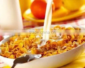 DP85 Engineers Available to Install Machine Breakfast Cereals/ Corn Flakes Extruder/making Machierey in China thumbnail-1