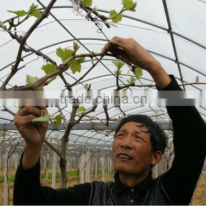 Plastic Film Greenhouse HIGH QUANLITY PE Weaving Fabric GREENHOUSE FILM thumbnail-1